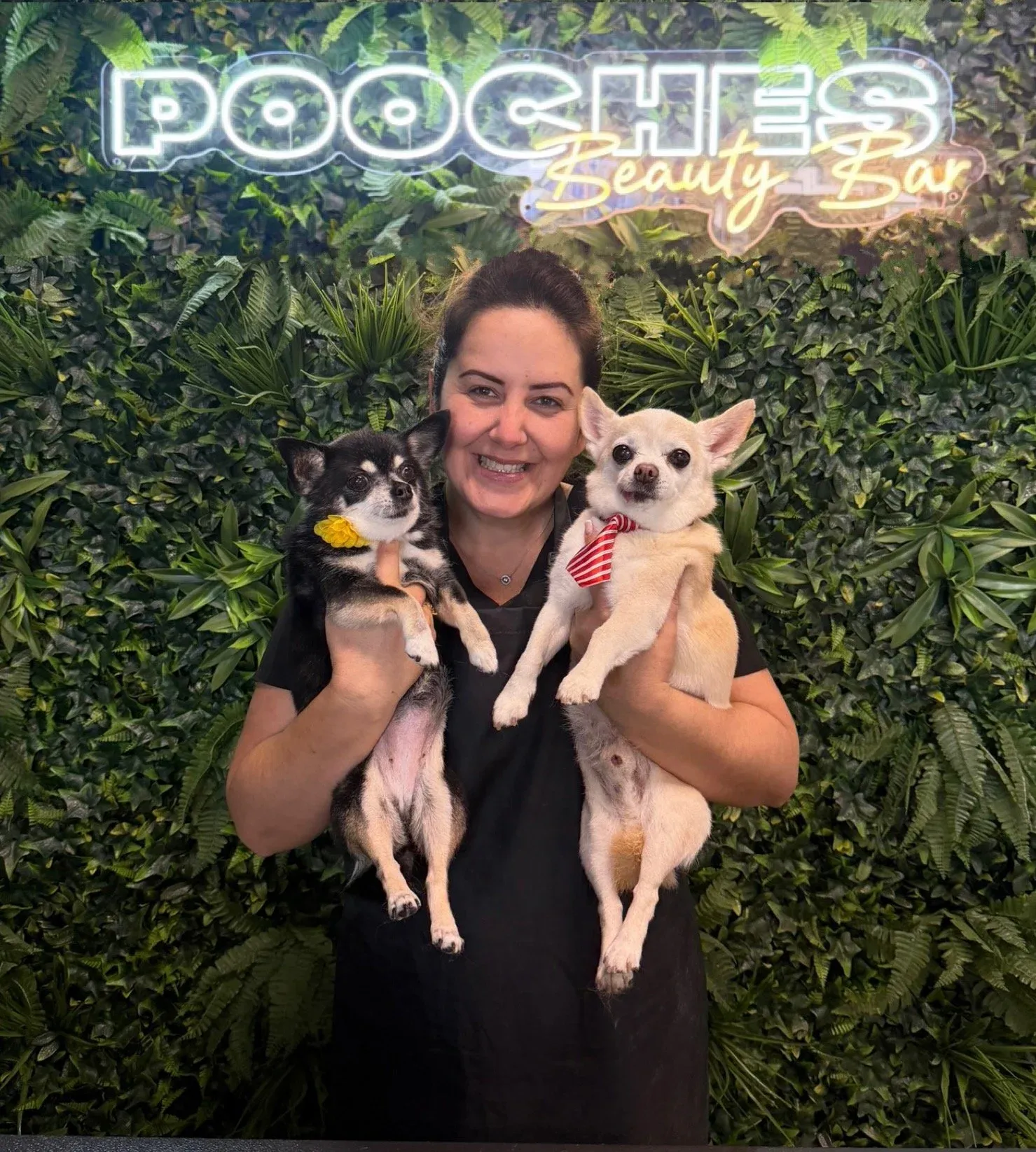 Ane Pires, Senior Groomer at Pooches Beauty Bar
